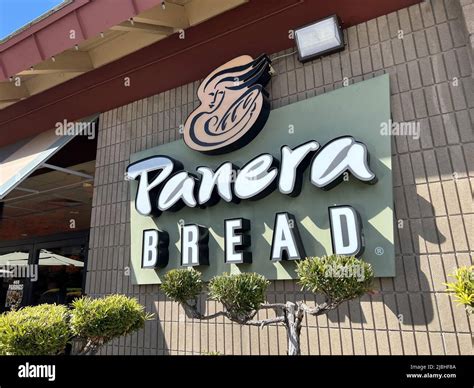 panerai walnut creek|panera bread walnut ca.